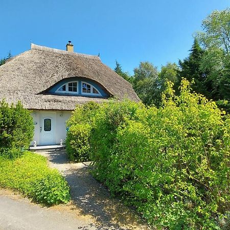 Ferienwohnung Im Uhlenhuus Вик Экстерьер фото